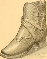 An illustration from Practical taxidermy, and home decoration : together with general information for sportsmen (1880)