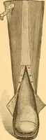 An illustration from Practical taxidermy, and home decoration : together with general information for sportsmen (1880)