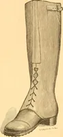 An illustration from Practical taxidermy, and home decoration : together with general information for sportsmen (1880)