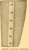 An illustration from Practical taxidermy, and home decoration : together with general information for sportsmen (1880)