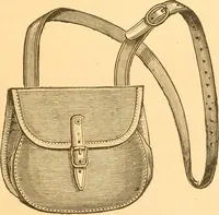 An illustration from Practical taxidermy, and home decoration : together with general information for sportsmen (1880)