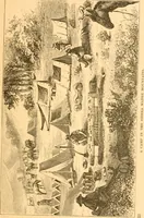 An illustration from Practical taxidermy, and home decoration : together with general information for sportsmen (1880)