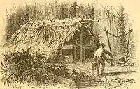 An illustration from Practical taxidermy, and home decoration : together with general information for sportsmen (1880)