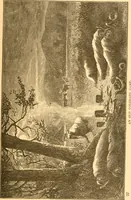 An illustration from Practical taxidermy, and home decoration : together with general information for sportsmen (1880)
