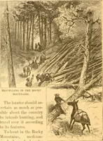 An illustration from Practical taxidermy, and home decoration : together with general information for sportsmen (1880)