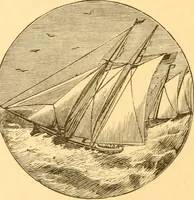 An illustration from Practical taxidermy, and home decoration : together with general information for sportsmen (1880)