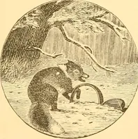 An illustration from Practical taxidermy, and home decoration : together with general information for sportsmen (1880)