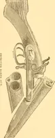 An illustration from Practical taxidermy, and home decoration : together with general information for sportsmen (1880)