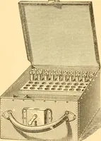An illustration from Practical taxidermy, and home decoration : together with general information for sportsmen (1880)