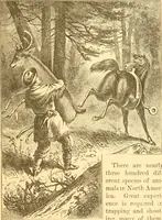 An illustration from Practical taxidermy, and home decoration : together with general information for sportsmen (1880)