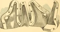An illustration from Practical taxidermy, and home decoration : together with general information for sportsmen (1880)