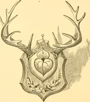 An illustration from Practical taxidermy, and home decoration : together with general information for sportsmen (1880)