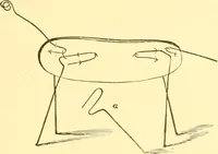An illustration from Practical taxidermy, and home decoration : together with general information for sportsmen (1880)
