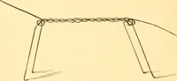 An illustration from Practical taxidermy, and home decoration : together with general information for sportsmen (1880)