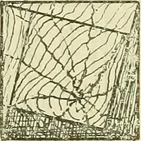 An illustration from The practical telephone handbook and guide to the telephonic exchange (1906)