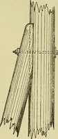 An illustration from The practical telephone handbook and guide to the telephonic exchange (1906)
