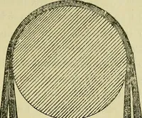 An illustration from The practical telephone handbook and guide to the telephonic exchange (1906)