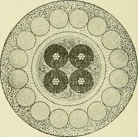 An illustration from The practical telephone handbook and guide to the telephonic exchange (1906)