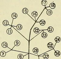 An illustration from The practical telephone handbook and guide to the telephonic exchange (1906)