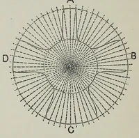 An illustration from A practical treatise on the construction of the power-loom and the art of weaving : all descriptions of texture produced by leaves of heddles : illustrated with diagrams, with calculations and instructions for the production of cotton, woollen, linen, and jute fabrics : intended as a textbook for those engaged in the trade (1883)