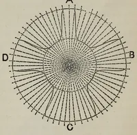 An illustration from A practical treatise on the construction of the power-loom and the art of weaving : all descriptions of texture produced by leaves of heddles : illustrated with diagrams, with calculations and instructions for the production of cotton, woollen, linen, and jute fabrics : intended as a textbook for those engaged in the trade (1887)