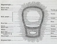 Picture 13 of 18 from A practical treatise on dyeing and calico-printing : including the latest inventions and improvements : also a description of the origin, manufacture, uses, and chemical properties of the various animal, vegetable, and mineral substances employed in these arts : with an appendix comprising definitions of chemical terms, with tables of weights, measures, thermometers, hydrometers, &c. (1860), leaf 666