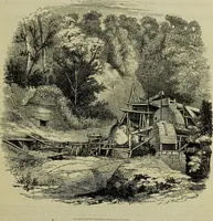 An illustration from A practical treatise on the use of the microscope, including the different methods of preparing and examining animal, vegetable, and mineral structures (1848)