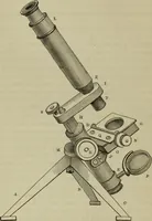 An illustration from A practical treatise on the use of the microscope, including the different methods of preparing and examining animal, vegetable, and mineral structures (1848)