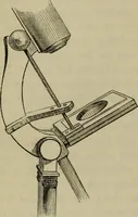An illustration from A practical treatise on the use of the microscope, including the different methods of preparing and examining animal, vegetable, and mineral structures (1848)