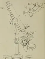 An illustration from A practical treatise on the use of the microscope, including the different methods of preparing and examining animal, vegetable, and mineral structures (1848)