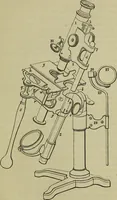 An illustration from A practical treatise on the use of the microscope, including the different methods of preparing and examining animal, vegetable, and mineral structures (1848)