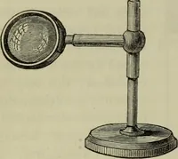An illustration from A practical treatise on the use of the microscope, including the different methods of preparing and examining animal, vegetable, and mineral structures (1848)