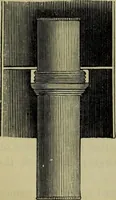An illustration from A practical treatise on the use of the microscope, including the different methods of preparing and examining animal, vegetable, and mineral structures (1848)