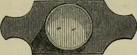 An illustration from A practical treatise on the use of the microscope, including the different methods of preparing and examining animal, vegetable, and mineral structures (1848)