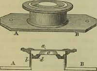 An illustration from A practical treatise on the use of the microscope, including the different methods of preparing and examining animal, vegetable, and mineral structures (1848)