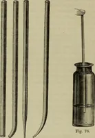 An illustration from A practical treatise on the use of the microscope, including the different methods of preparing and examining animal, vegetable, and mineral structures (1848)