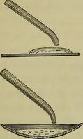 An illustration from A practical treatise on the use of the microscope, including the different methods of preparing and examining animal, vegetable, and mineral structures (1848)
