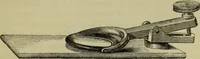 An illustration from A practical treatise on the use of the microscope, including the different methods of preparing and examining animal, vegetable, and mineral structures (1848)