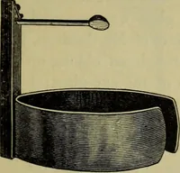 An illustration from A practical treatise on the use of the microscope, including the different methods of preparing and examining animal, vegetable, and mineral structures (1848)
