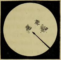 An illustration from A practical treatise on the use of the microscope, including the different methods of preparing and examining animal, vegetable, and mineral structures (1848)