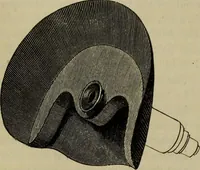 An illustration from A practical treatise on the use of the microscope, including the different methods of preparing and examining animal, vegetable, and mineral structures (1848)