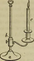 An illustration from A practical treatise on the use of the microscope, including the different methods of preparing and examining animal, vegetable, and mineral structures (1848)