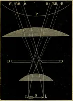 An illustration from A practical treatise on the use of the microscope, including the different methods of preparing and examining animal, vegetable, and mineral structures (1848)