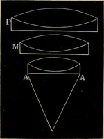 An illustration from A practical treatise on the use of the microscope, including the different methods of preparing and examining animal, vegetable, and mineral structures (1848)