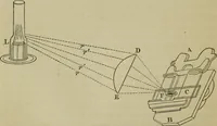 An illustration from A practical treatise on the use of the microscope, including the different methods of preparing and examining animal, vegetable, and mineral structures (1848)
