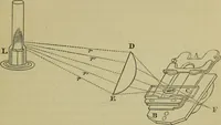 An illustration from A practical treatise on the use of the microscope, including the different methods of preparing and examining animal, vegetable, and mineral structures (1848)