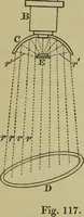 An illustration from A practical treatise on the use of the microscope, including the different methods of preparing and examining animal, vegetable, and mineral structures (1848)