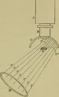 An illustration from A practical treatise on the use of the microscope, including the different methods of preparing and examining animal, vegetable, and mineral structures (1848)
