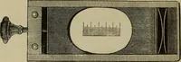 An illustration from A practical treatise on the use of the microscope, including the different methods of preparing and examining animal, vegetable, and mineral structures (1848)
