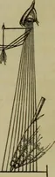 An illustration from A practical treatise on the use of the microscope, including the different methods of preparing and examining animal, vegetable, and mineral structures (1848)